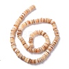 Natural Freshwater Shell Beads Strands SHEL-C001-06-7