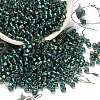 TOHO 6/0 Round Beads SEED-TR06-0270-1