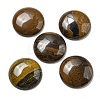 Natural Tiger Iron Cabochons G-C115-02B-34-1