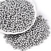 Glass Seed Beads SEED-T007-01P-3
