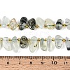 Natural Prehnite Beads Strands G-Z091-A44-5