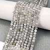Natural Labradorite Beads Strands G-I341-11A-2