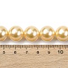 Electroplated Shell Pearl Beads Strands BSHE-G041-14mm-01-4