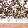 MIYUKI Delica Beads X-SEED-J020-DB0029-4