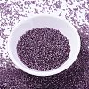 MIYUKI Delica Beads SEED-X0054-DB2169-2