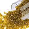 TOHO Round Seed Beads SEED-XTR08-2155-1