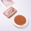 8/0 Glass Seed Beads SEED-US0003-3mm-109-5