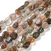 Natural Rutilated Quartz Beads Strands G-P497-01E-08A-1