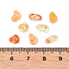 Transparent Acrylic Beads OACR-N137-44C-3
