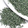 FGB 11/0 Grade A Baking Paint Glass Seed Beads SEED-S030-1208-1