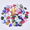 Natural Freshwater Shell Beads SHEL-N003-03-2
