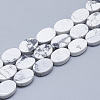 Natural Howlite Beads Strands G-T122-04O-1