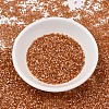 MIYUKI Delica Beads X-SEED-J020-DB1804-2