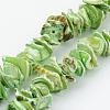 Natural Shell Bead Strands BSHE-P010-05-1