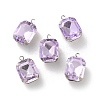 Rhinestone Pendants RGLA-P038-02P-10-1