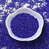 MIYUKI Delica Beads X-SEED-J020-DB0216-2