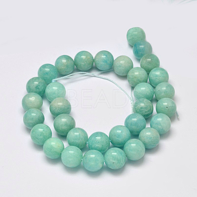 Natural Gemstone Beads Strands G-I025-8mm-06-1