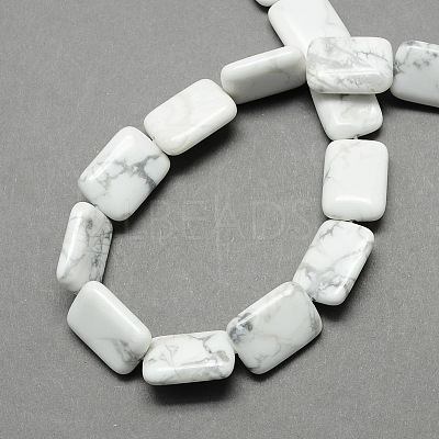 Rectangle Shaped Gemstone Natural Howlite Stone Beads Strands G-S112-23-1