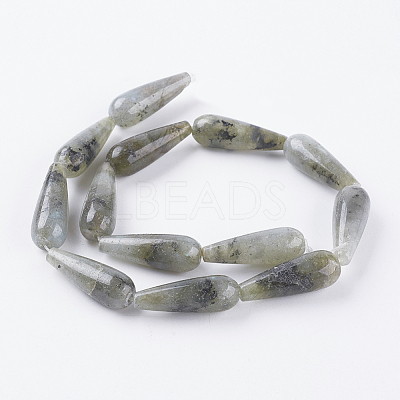 Natural Labradorite Beads Strands G-A175E-B13-1