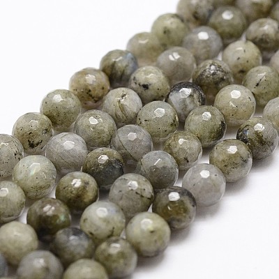 Natural Labradorite Beads Strands G-G736-04-8mm-1