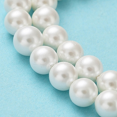Shell Pearl Bead Strands X-BSHE-L026-03-6mm-1