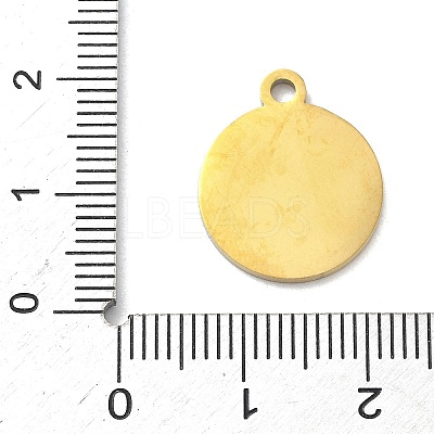 304 Stainless Steel Fruit Enamel Pendants LS-STAS-G362-04G-03-1