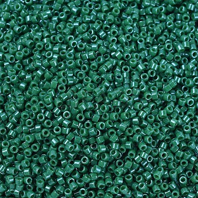 MIYUKI Delica Beads X-SEED-J020-DB0656-1