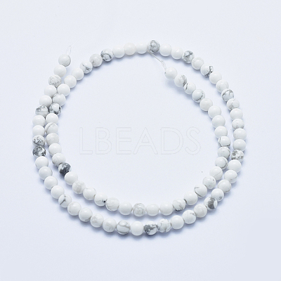 Natural Howlite Beads Strands G-P353-01-4mm-1