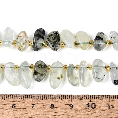 Natural Prehnite Beads Strands G-Z091-A44-1
