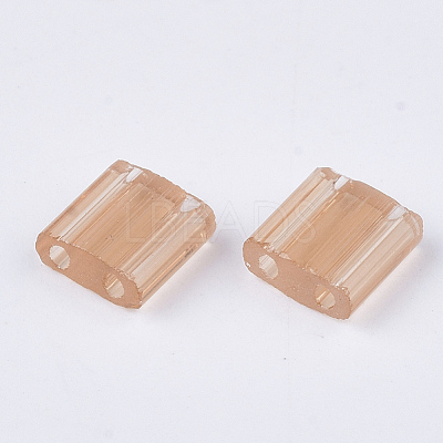 2-Hole Glass Seed Beads SEED-T003-01C-05-1