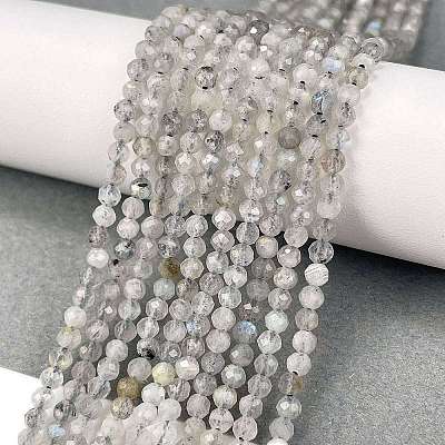 Natural Labradorite Beads Strands G-I341-11A-1