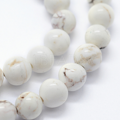 Natural Magnestite Beads Strands X-G-I199-27-8mm-1