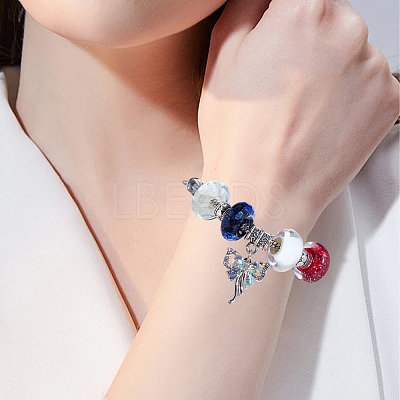 30Pcs Handmade Lampwork European Beads LAMP-SC0001-74-1