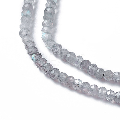 Natural Labradorite Beads Strands X-G-F596-07-1