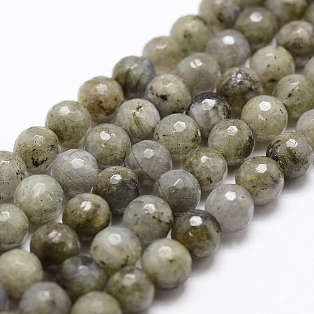 Natural Labradorite Beads Strands G-G736-04-8mm-1