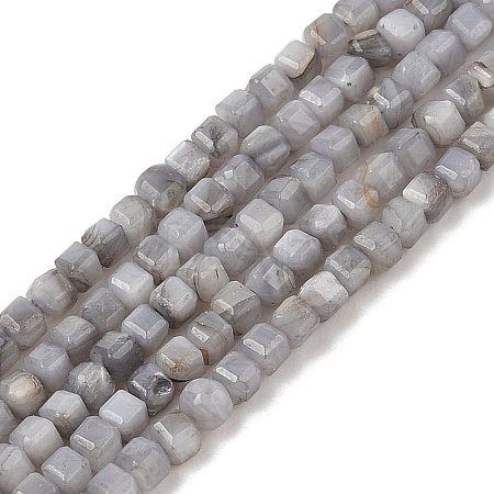 Natural Freshwater Shell Dyed Beads Strands SHEL-R100-11A-02-1