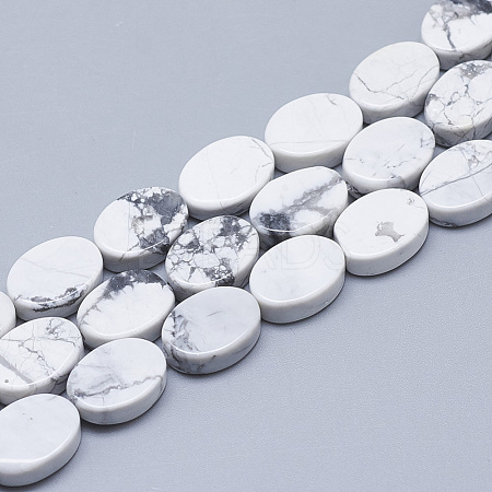 Natural Howlite Beads Strands G-T122-04O-1
