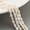 Natural Keshi Pearl Cultured Freshwater Pearl Beads Strands PEAR-P062-25C-2