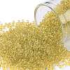 TOHO Round Seed Beads X-SEED-TR11-2151-1