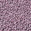 MIYUKI Delica Beads X-SEED-J020-DB0379-2