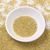 MIYUKI Delica Beads SEED-X0054-DB0042-2