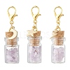 Natural Amethyst Chips inside Glass Wishing Bottle Pendant Decoration HJEW-JM03307-04-2