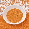 MIYUKI Delica Beads SEED-JP0008-DB1573-2
