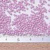 MIYUKI Delica Beads X-SEED-J020-DB0210-4