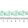 Transparent Glass Enamel Beads Strands GLAA-B021-06E-4