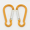 Aluminum Carabiners LS-EA026-09-1
