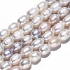 Natural Cultured Freshwater Pearl Beads Strands PEAR-S017-005-3