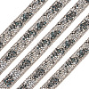 Hotfix Rhinestone Ribbon Trimming DIY-TAC0051-002E-1-3