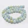 Natural Aquamarine Beads Strands G-K240-04-2
