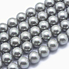 Shell Pearl Beads Strands X-BSHE-L026-05-8mm-2